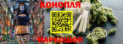 прущие грибы Балаково