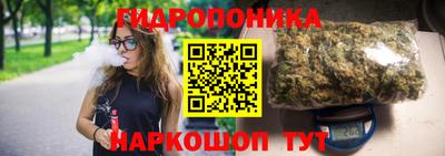 прущие грибы Балаково