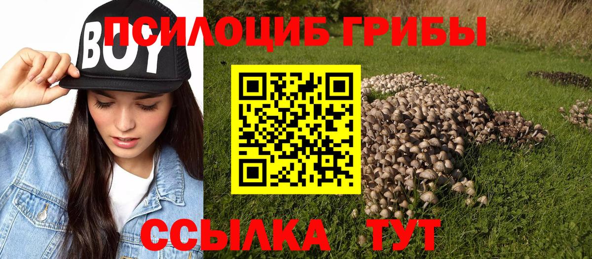 Псилоцибиновые грибы MAGIC MUSHROOMS  Будённовск 