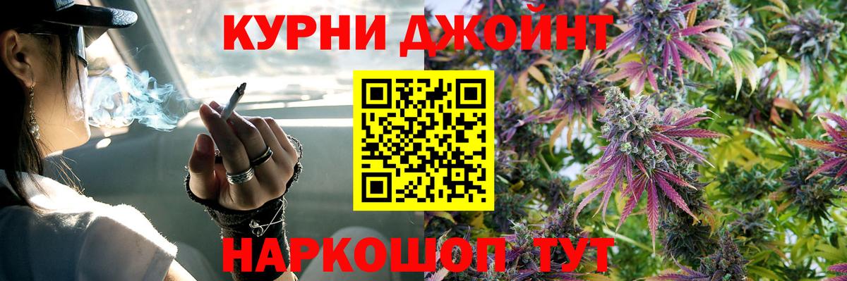 Шишки марихуана гибрид Будённовск